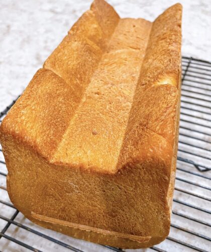 Cute cat loaf bread